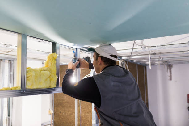 Best Insulation Contractors for Homes  in Kearny, NJ